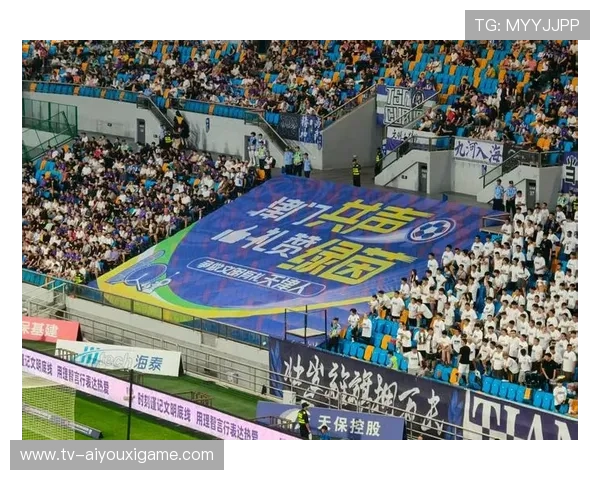 津门虎主场升级计划：球迷体验将迎来巨变